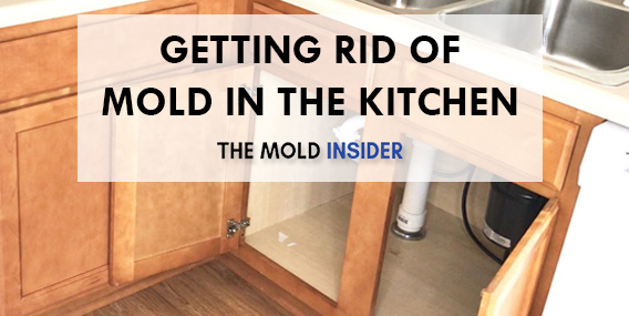 How To Get Rid of Mold Under Kitchen Cabinets? 2