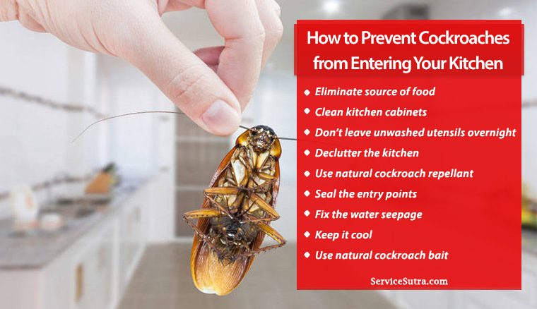 How To Get Rid of Roaches in Kitchen Cabinets?