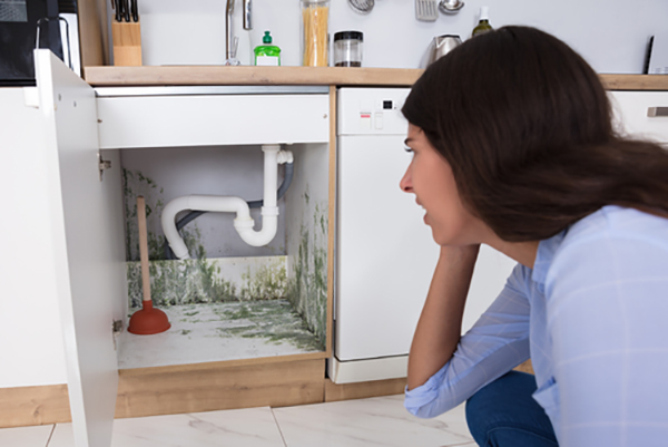 How To Get Rid of Mold Under Kitchen Cabinets?